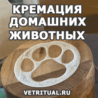 Кремация домашних животных